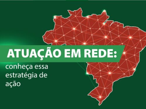 Atuação em rede: conheça essa estratégia de ação