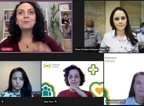 Captura de tela de 5 participantes do webinário da Fundação Vale