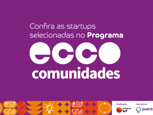 Arte em fundo roxo com o texto "Conheça as startups selecionadas no Programa Ecco Comunidades"