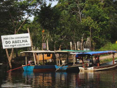 amazônia