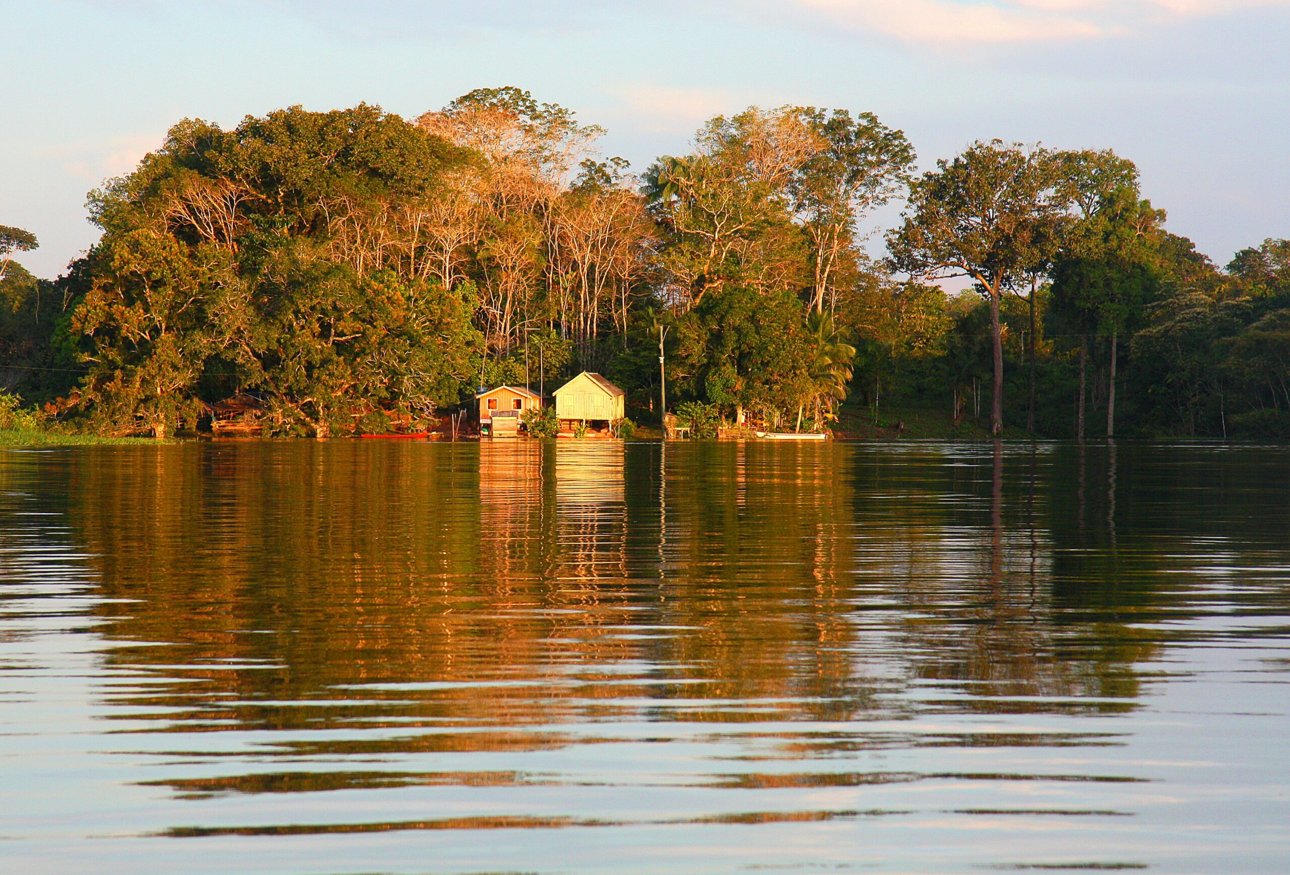 Sobrevivência na Amazônia