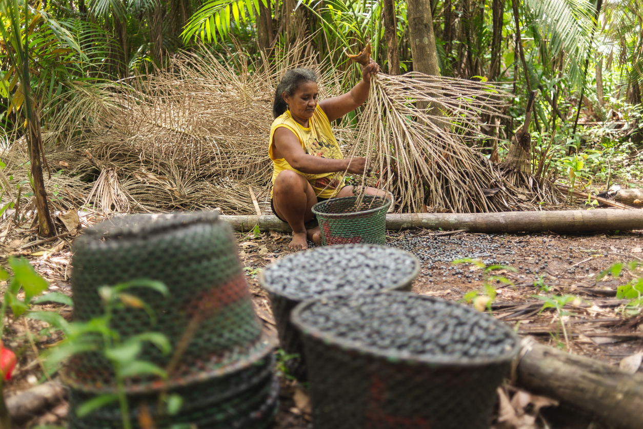 Os caminhos da filantropia rumo à COP30